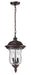 Outdoor Chain Mount Ceiling Fixture Z-Lite 533CHM-RBRZ Bronze Armstrong 2 Light Outdoor Chain Mount Ceiling Fixture Z-Lite
