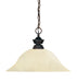 Pendant Z-Lite 100701OB-GM16 Olde Bronze Pendant Lights 1 Light Pendant Z-Lite
