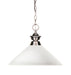 Pendant Z-Lite 100701BN-AMO14 Brushed Nickel Shark 1 Light Pendant Z-Lite