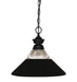 Pendant Z-Lite 100701MB-RMB Matte Black Shark 1 Light Pendant Z-Lite