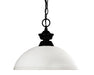 Pendant Z-Lite 100701MB-DMO14 Matte Black Shark/Windsor 1 Light Pendant Z-Lite