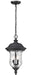 Outdoor Chain Mount Ceiling Fixture Z-Lite 533CHB-BK Black Armstrong 3 Light Outdoor Chain Mount Ceiling Fixture Z-Lite