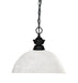 Pendant Z-Lite 100701MB-DWL14 Matte Black Shark 1 Light Pendant Z-Lite