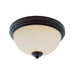 Flush Mount Z-Lite 314F2-BRZ Bronze Chelsey 2 Light Flush Mount Z-Lite
