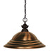 Pendant Z-Lite 100701BRZ-SAC Bronze Shark 1 Light Pendant Z-Lite