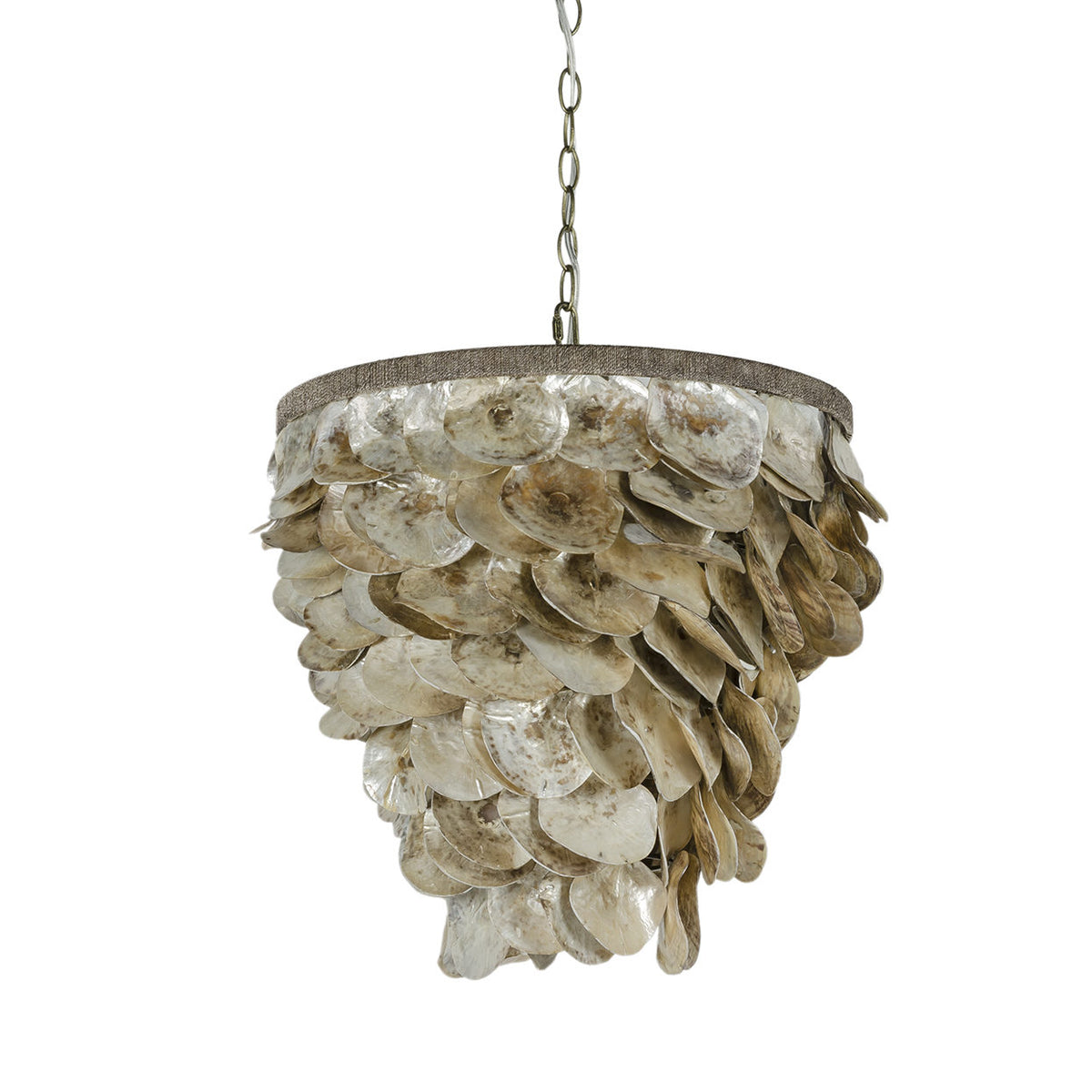 Palecek Playa Square Wall Decor Oyster Shell – CLAYTON GRAY HOME