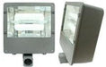 100W- Square Induction Lamp & Electrical Ballast