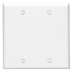 Blank Wall Plate- Two Gang